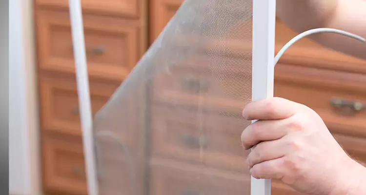 Privacy Mesh Screen Door Installation in Pembroke Pines, FL