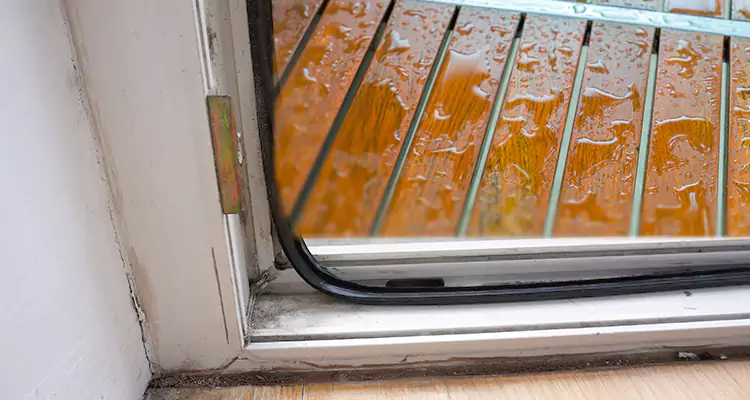 Water Leaking Wooden Patio Doors Repair in Pembroke Pines, FL