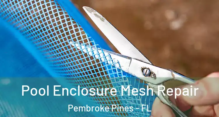  Pool Enclosure Mesh Repair Pembroke Pines - FL