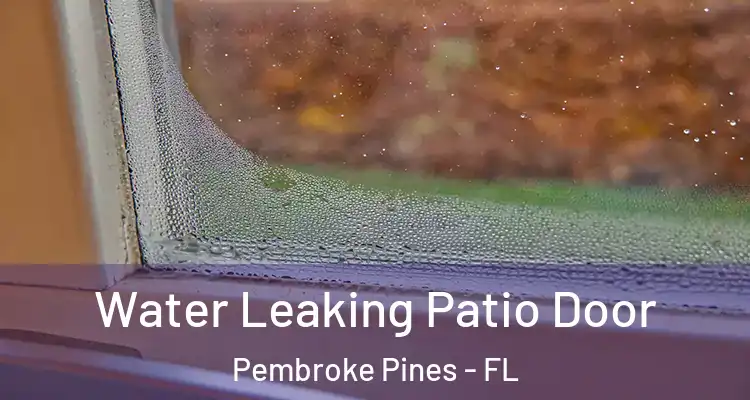 Water Leaking Patio Door Pembroke Pines - FL